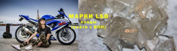 ПСИЛОЦИБИНОВЫЕ ГРИБЫ Верея