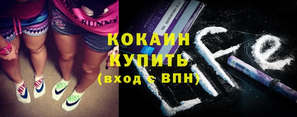 ПСИЛОЦИБИНОВЫЕ ГРИБЫ Верея