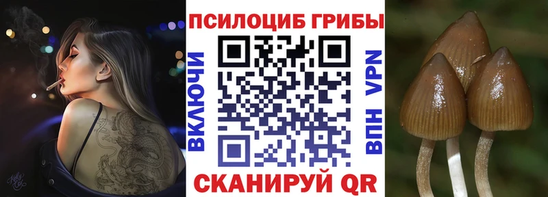 Псилоцибиновые грибы прущие грибы  Весьегонск 